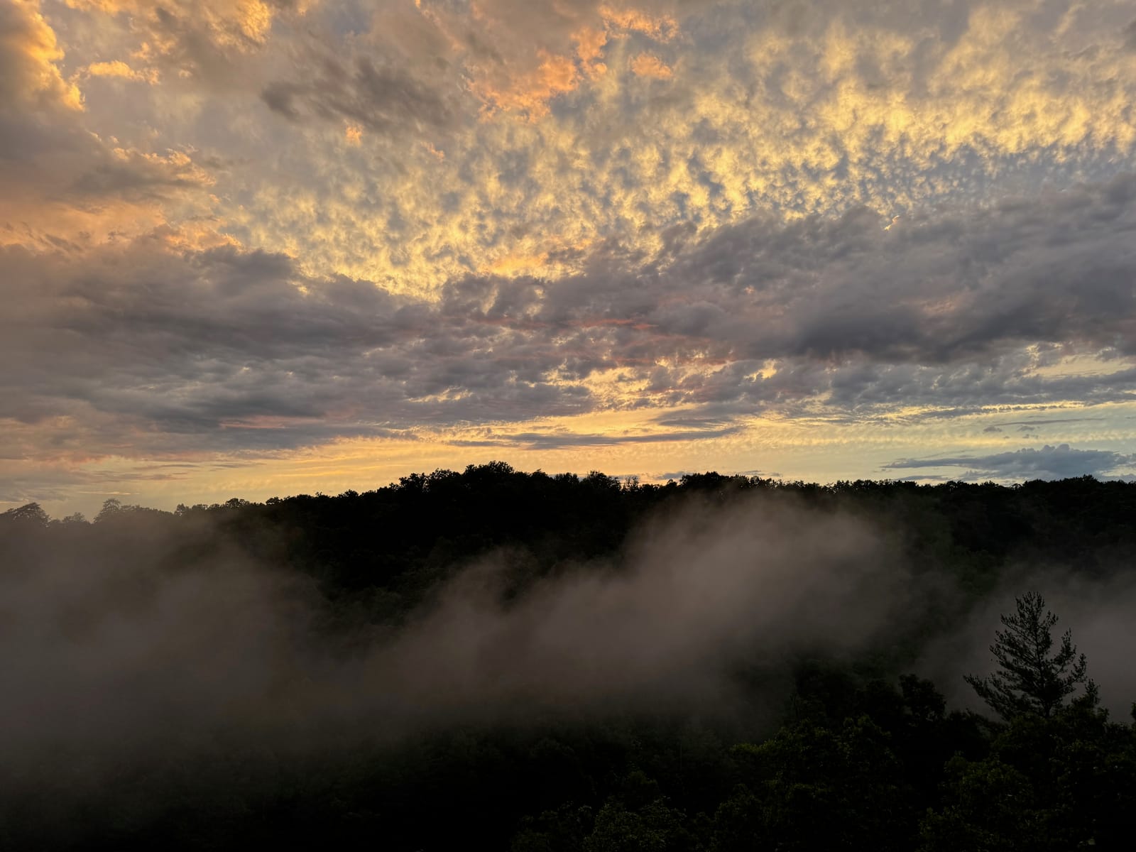 Sunset over fog in the Red River Gorge
